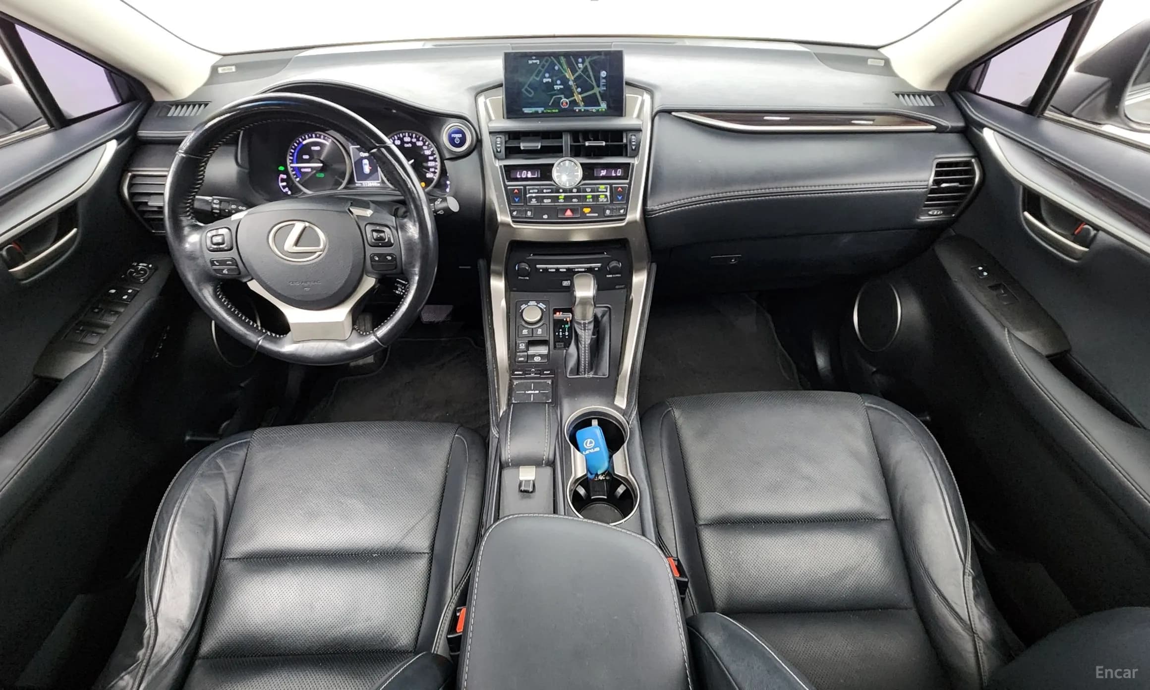 NX300h