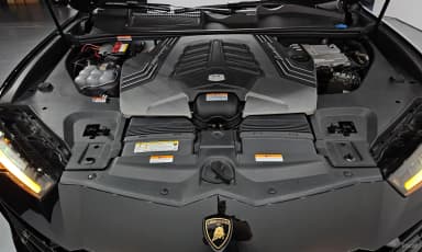 Urus