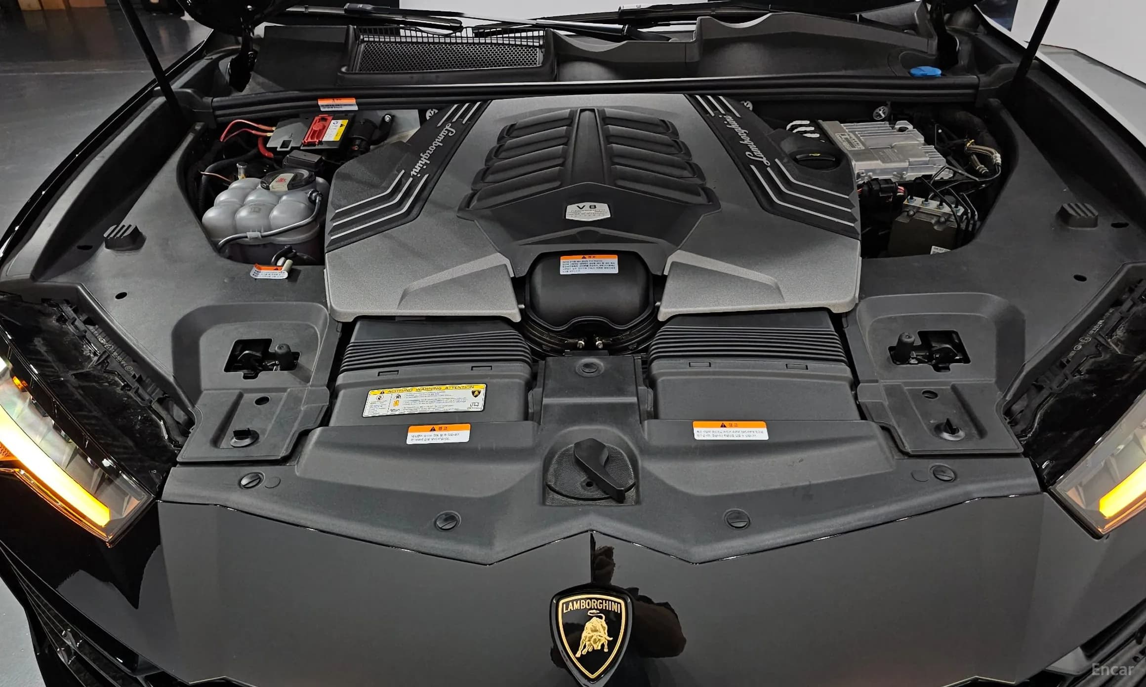 Urus