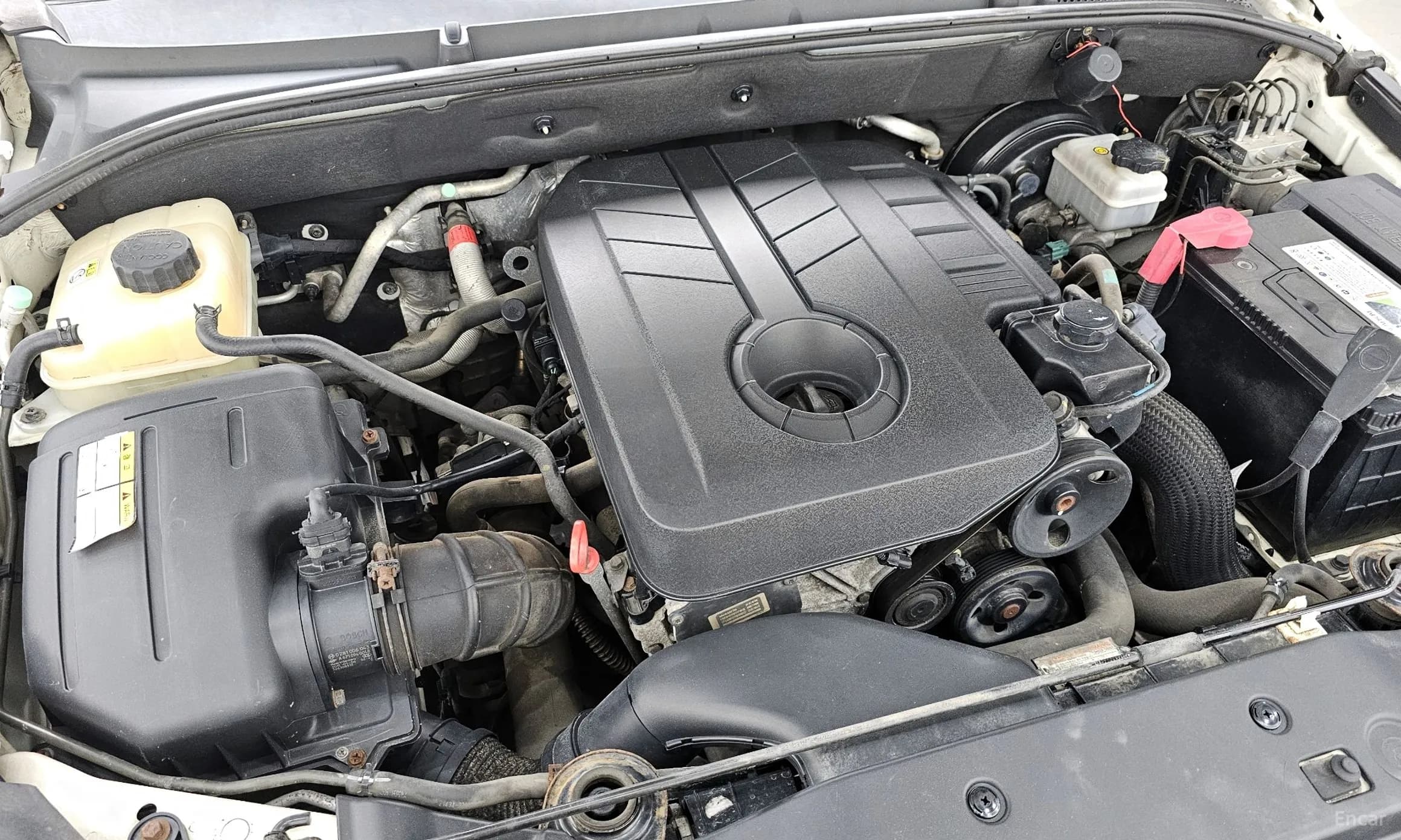Korando Sports