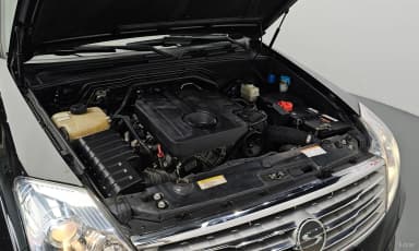 Rexton W