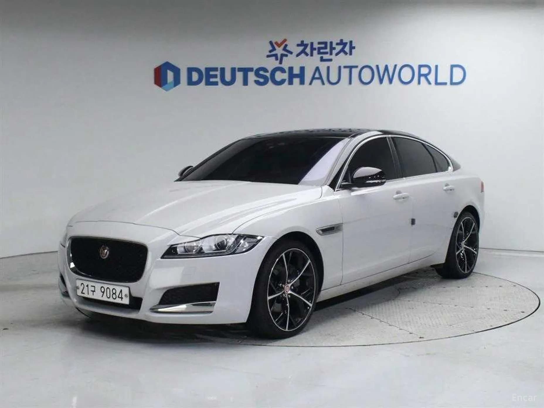 XF (x260)