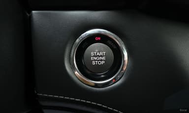 Rexton Sports