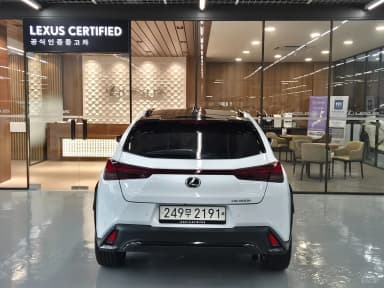 UX300h