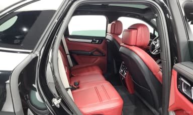 Cayenne (PO536)