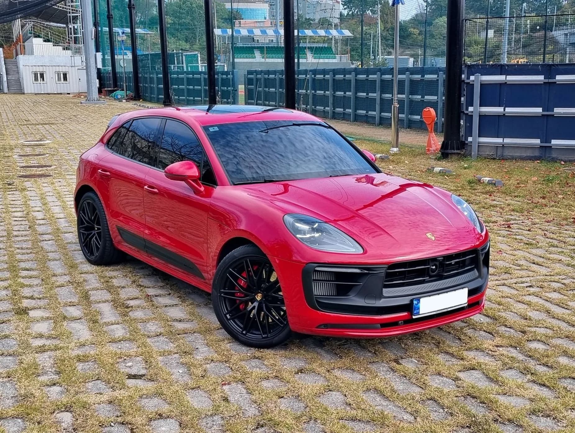 Macan