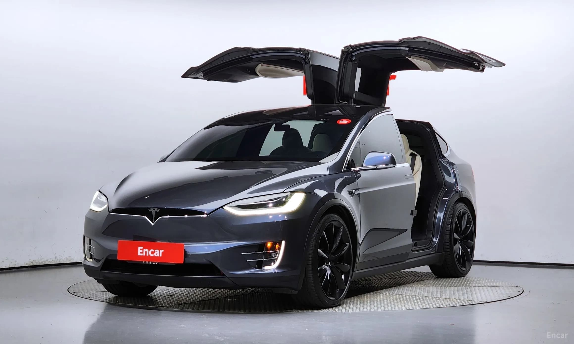Model X
