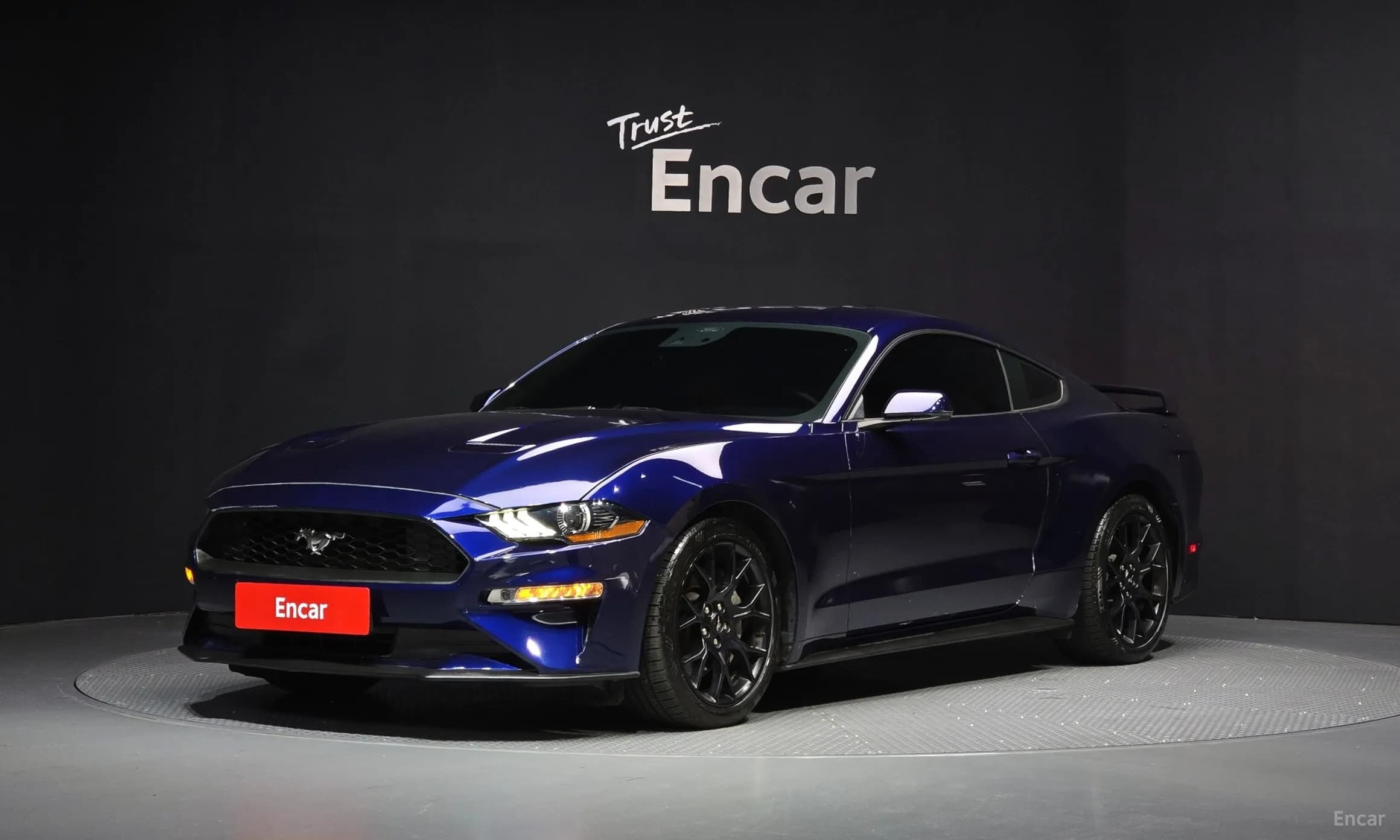 Mustang