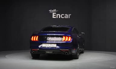 Mustang