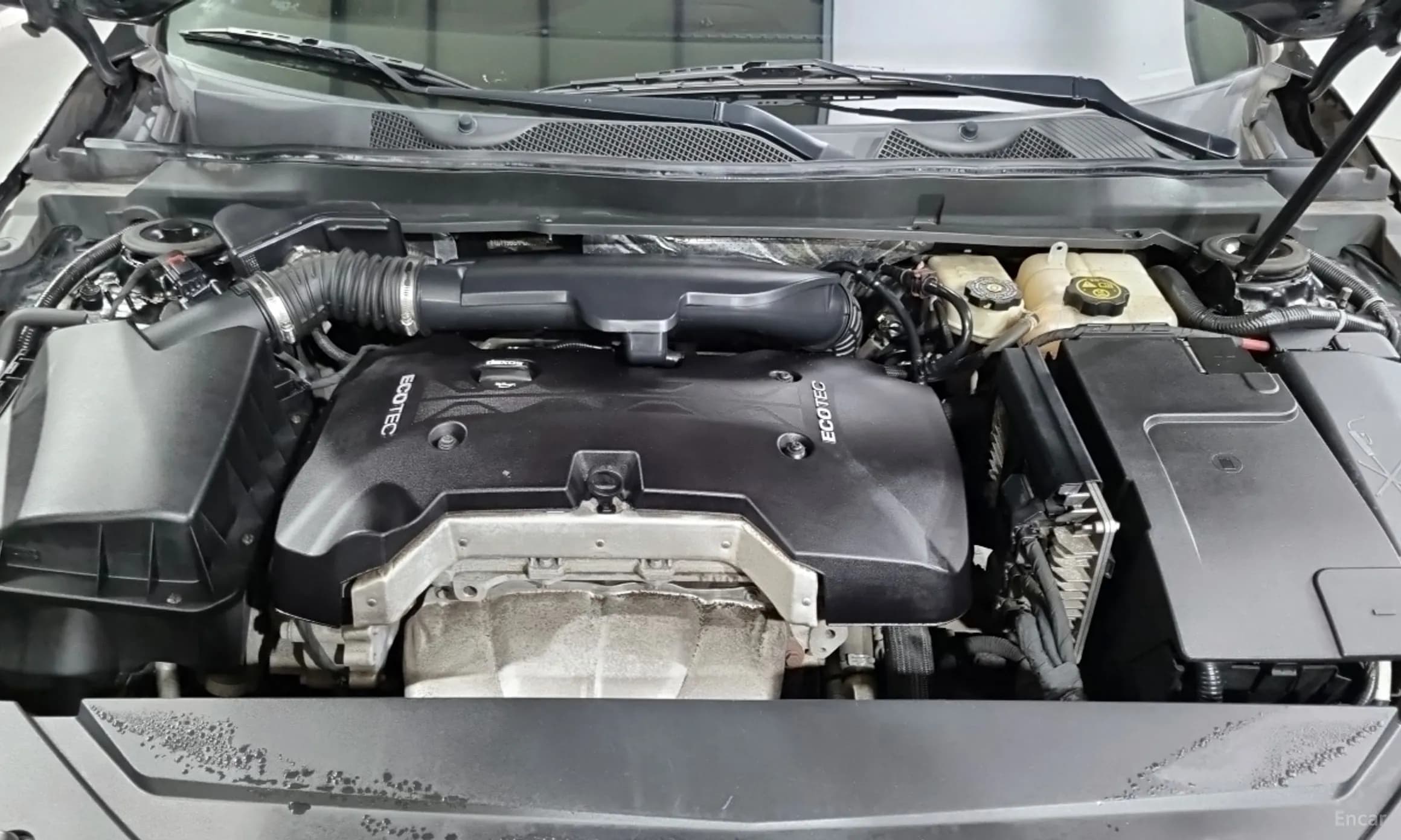 Impala