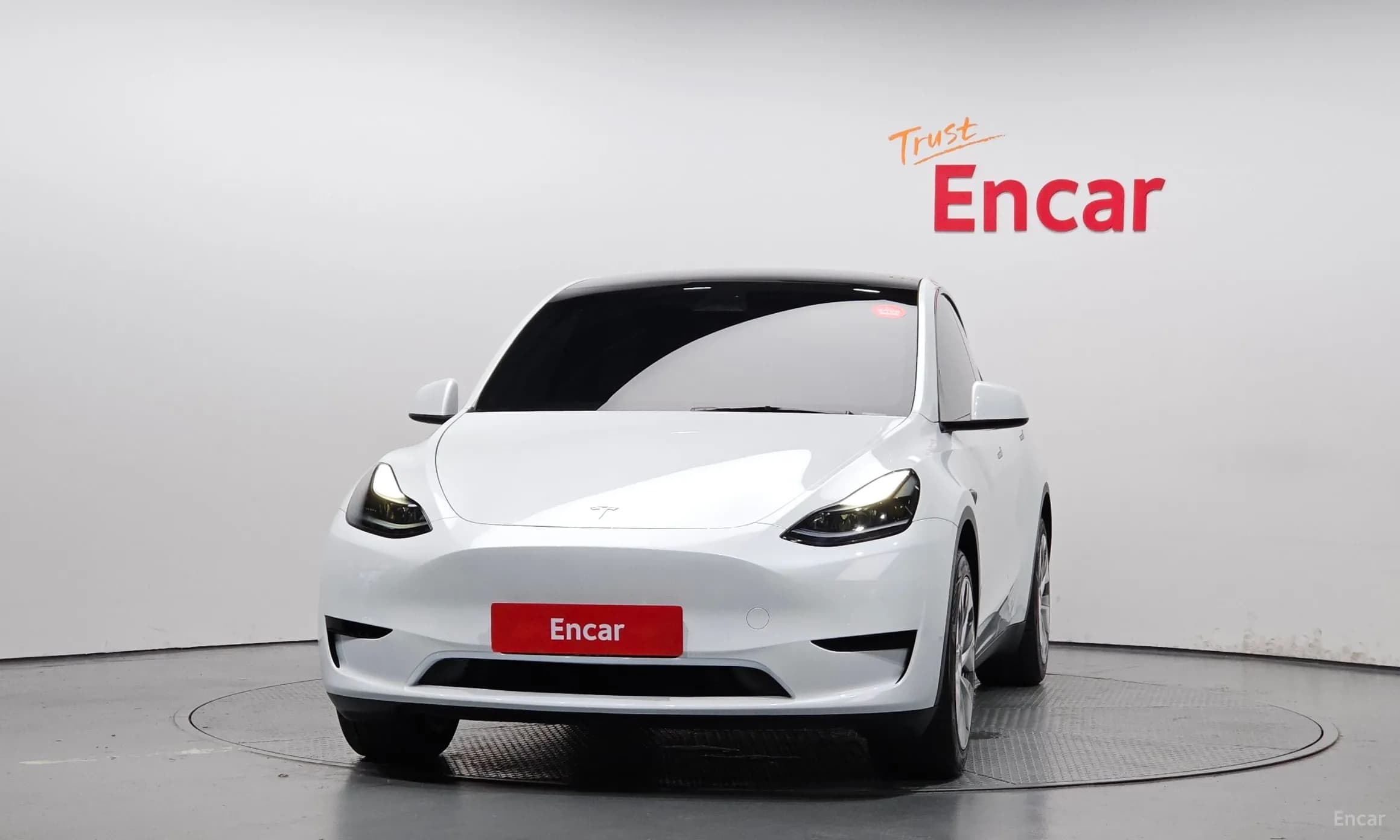 Model Y