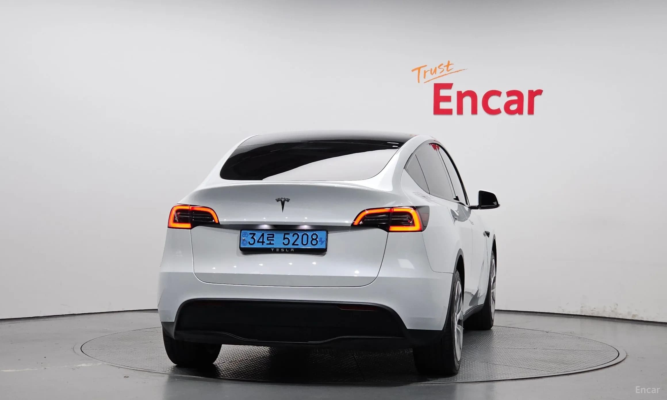 Model Y
