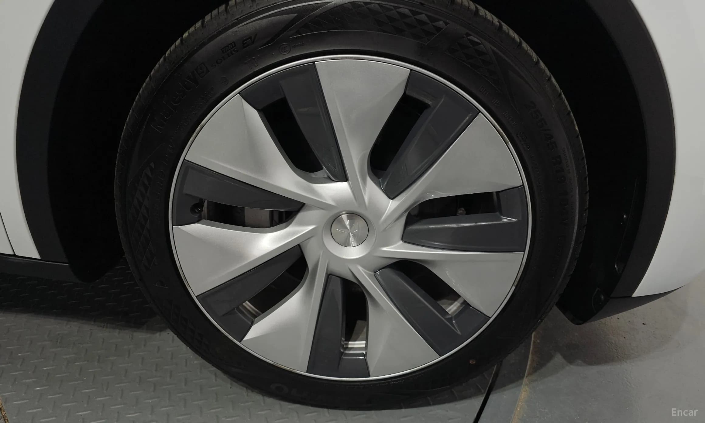 Model Y