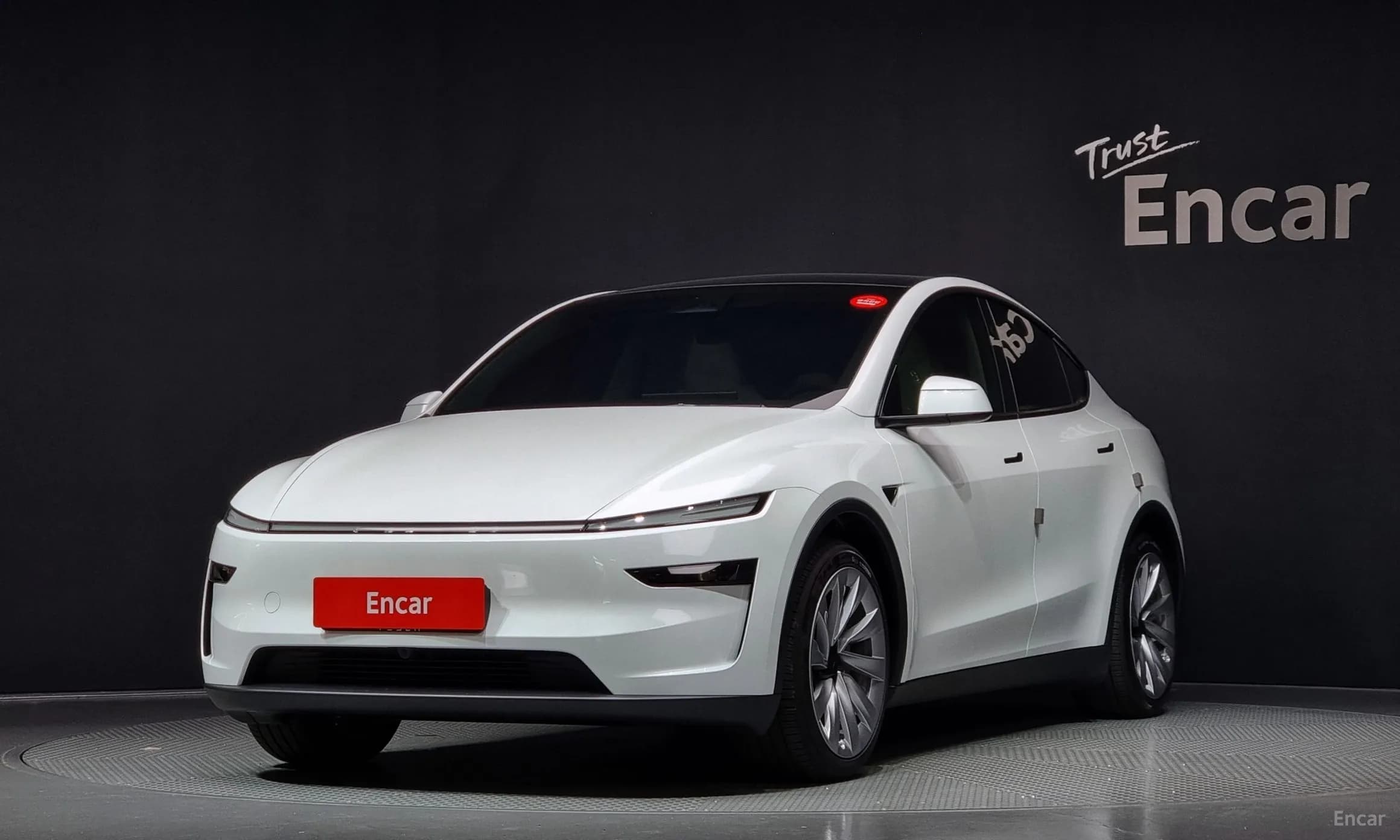Model Y