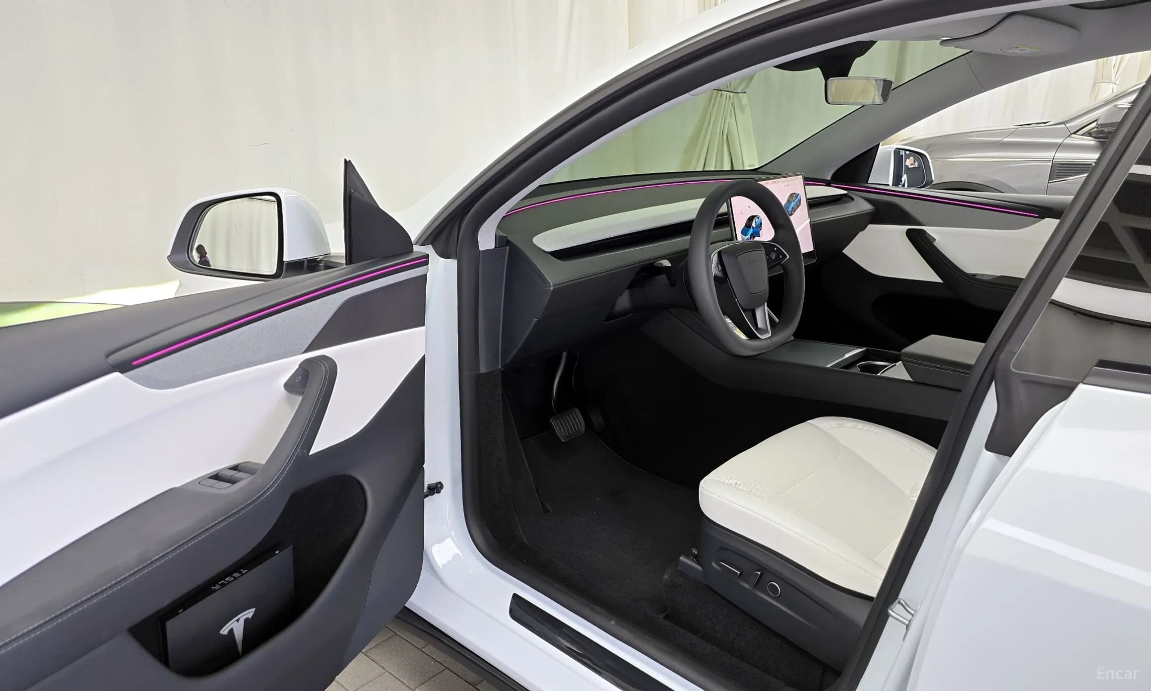 Model Y