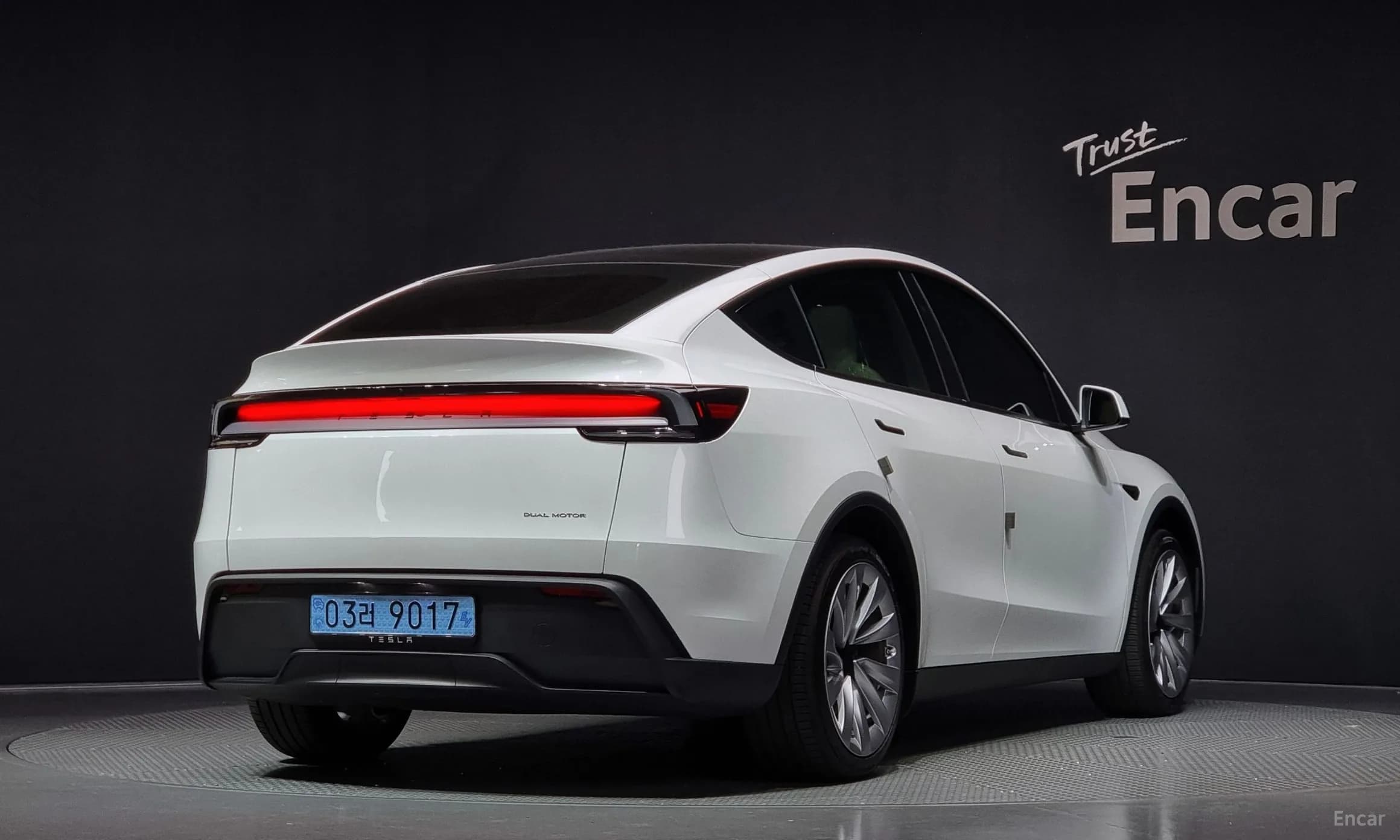 Model Y