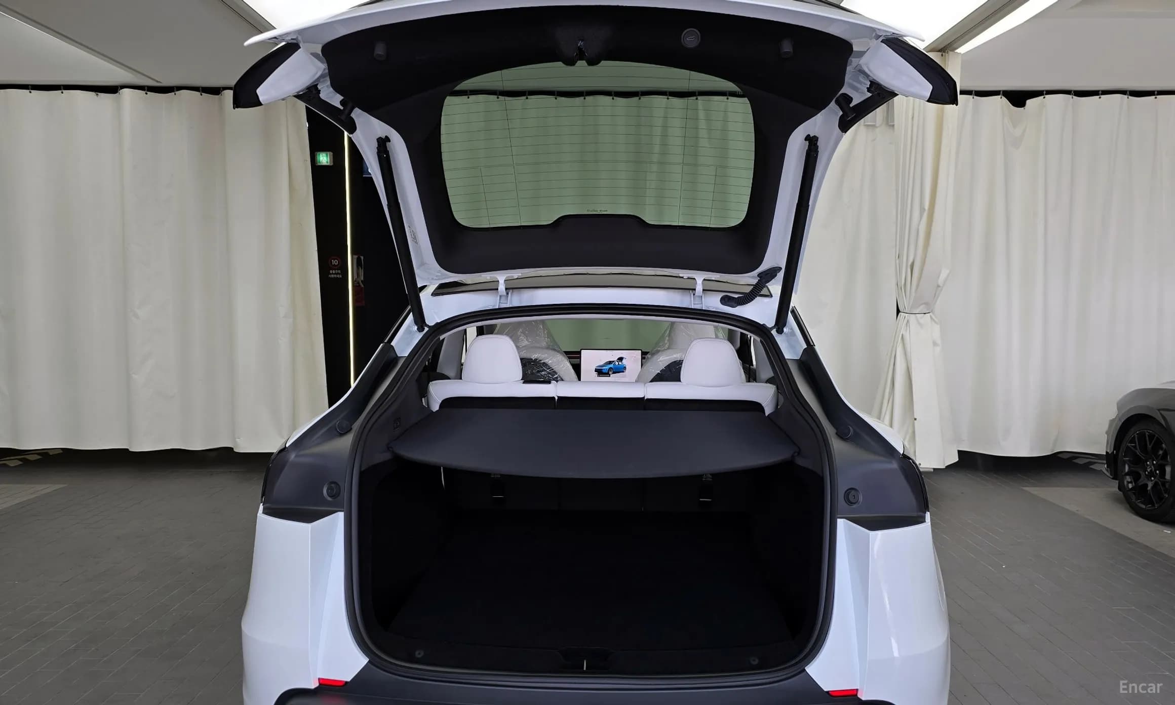 Model Y