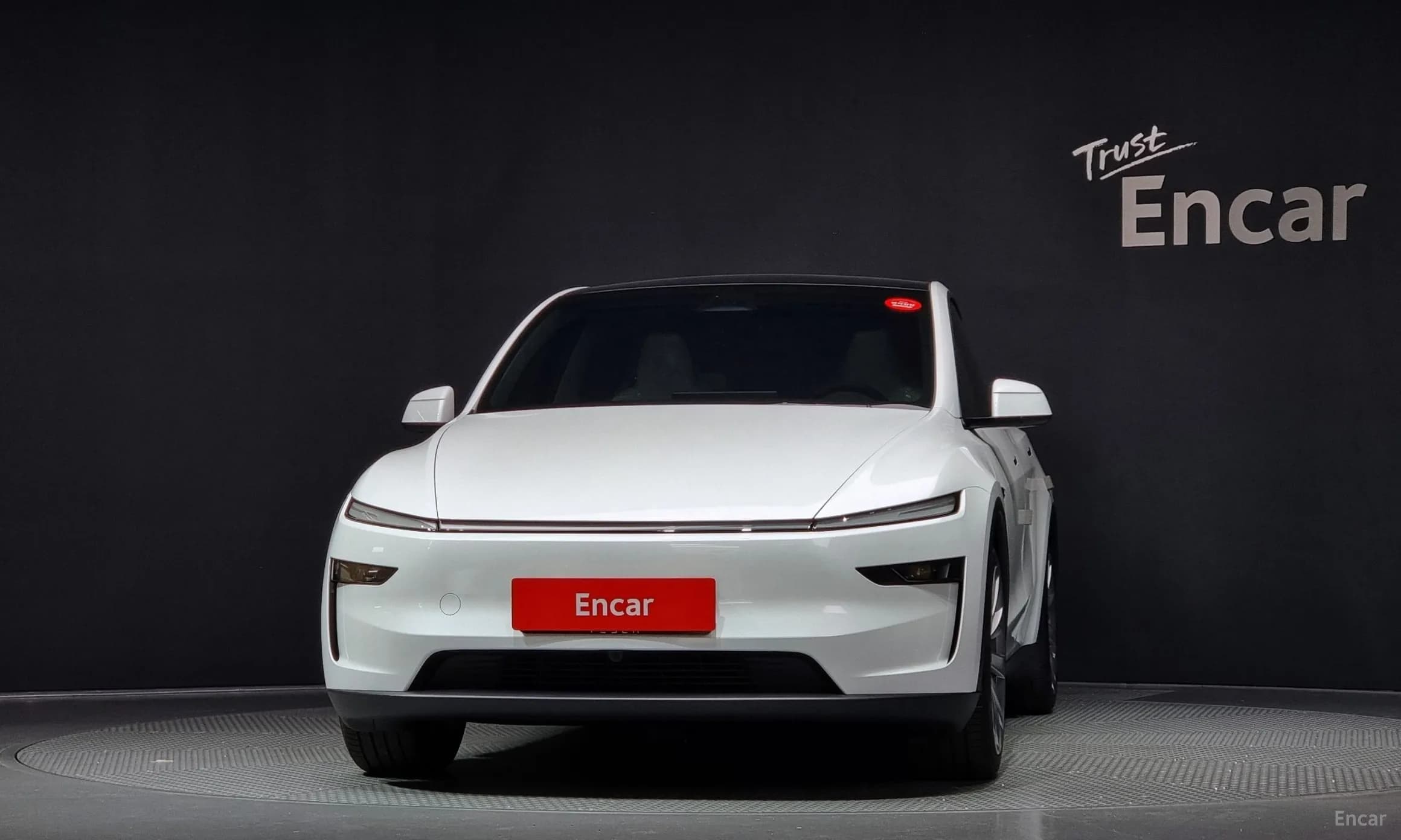 Model Y