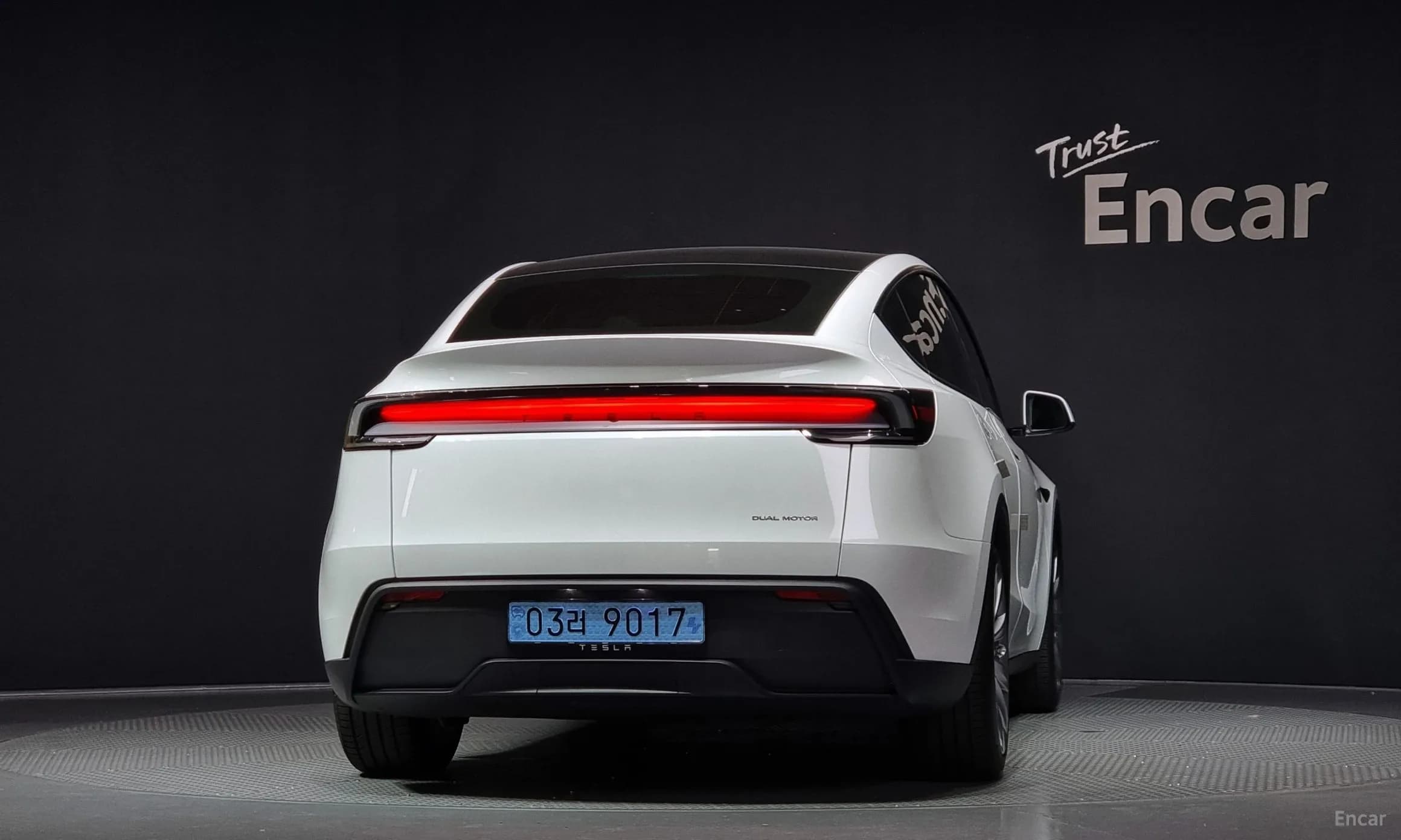 Model Y