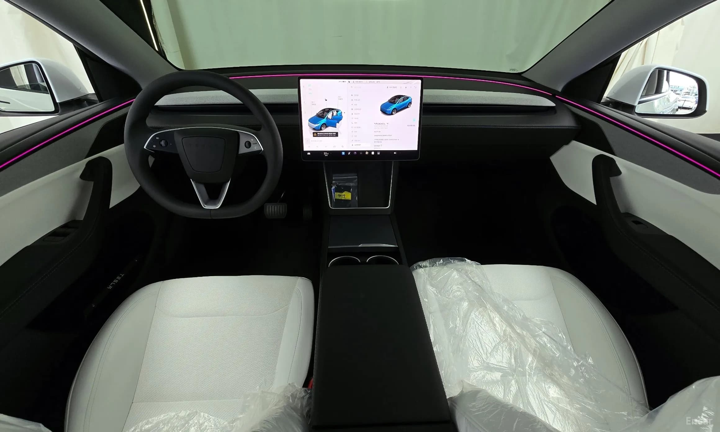 Model Y