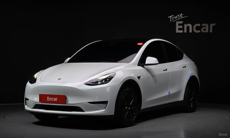 Model Y