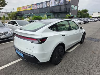 Model Y