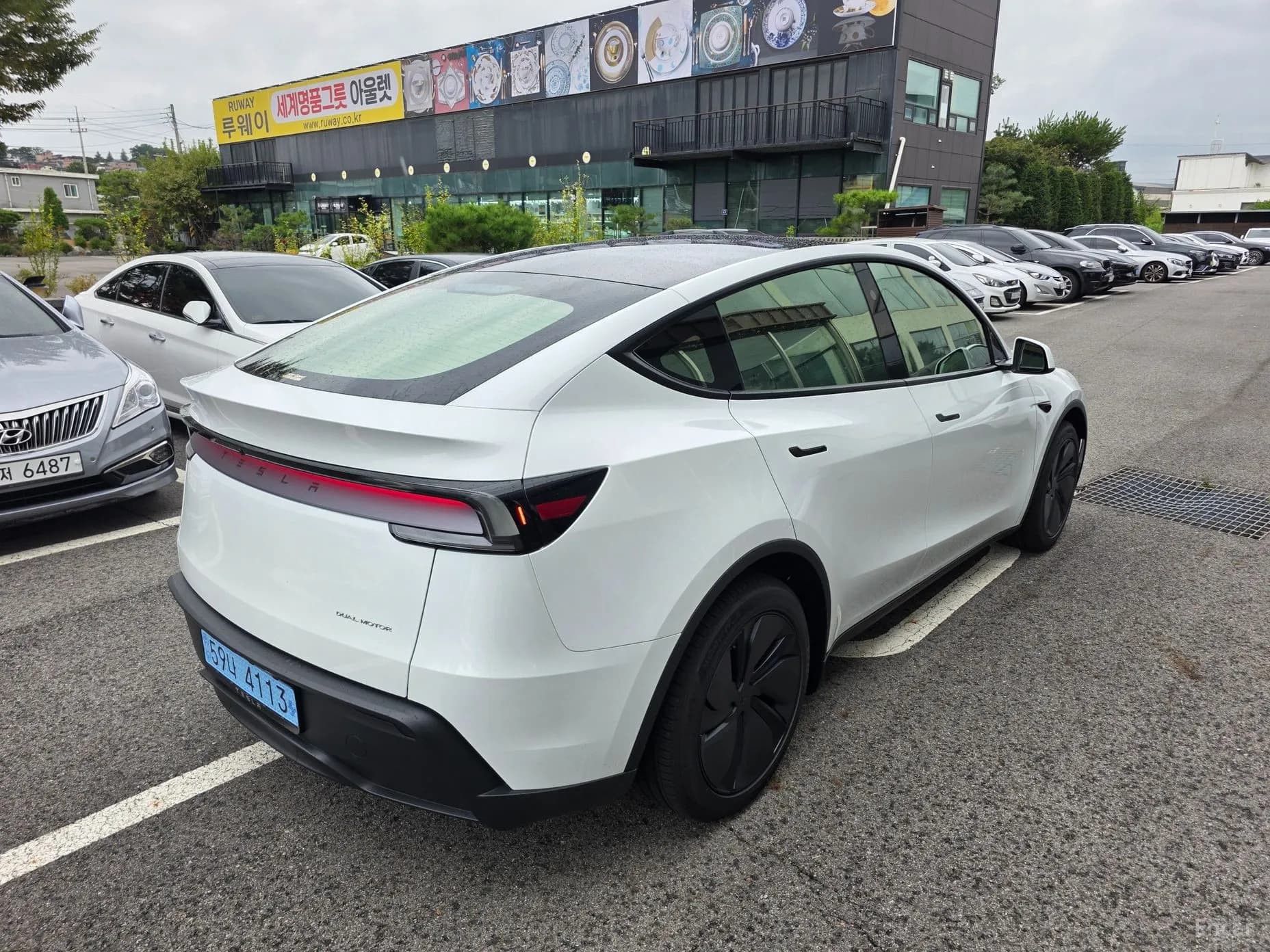 Model Y