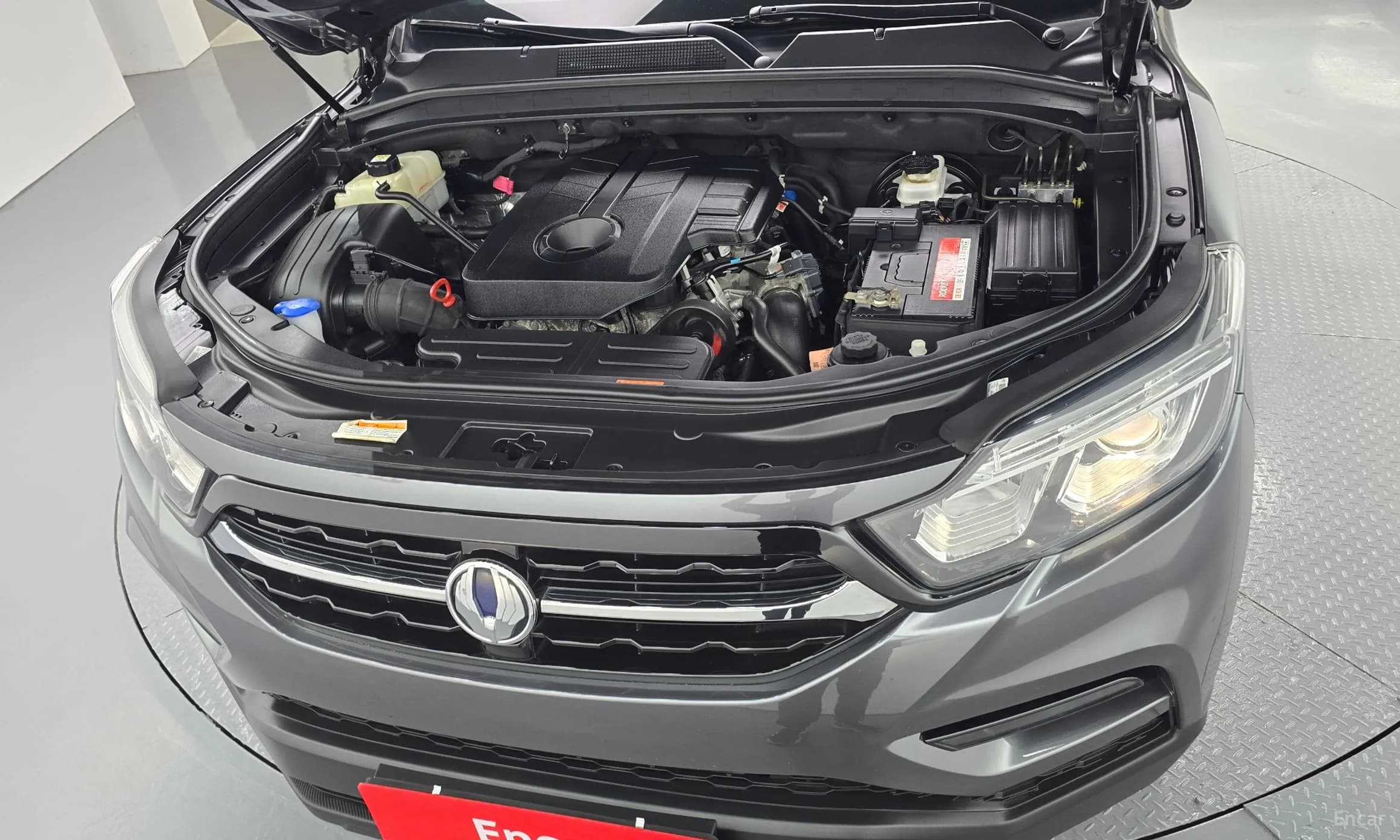 Rexton Sports