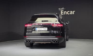 Cayenne (PO536)
