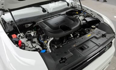 Defender (L663)