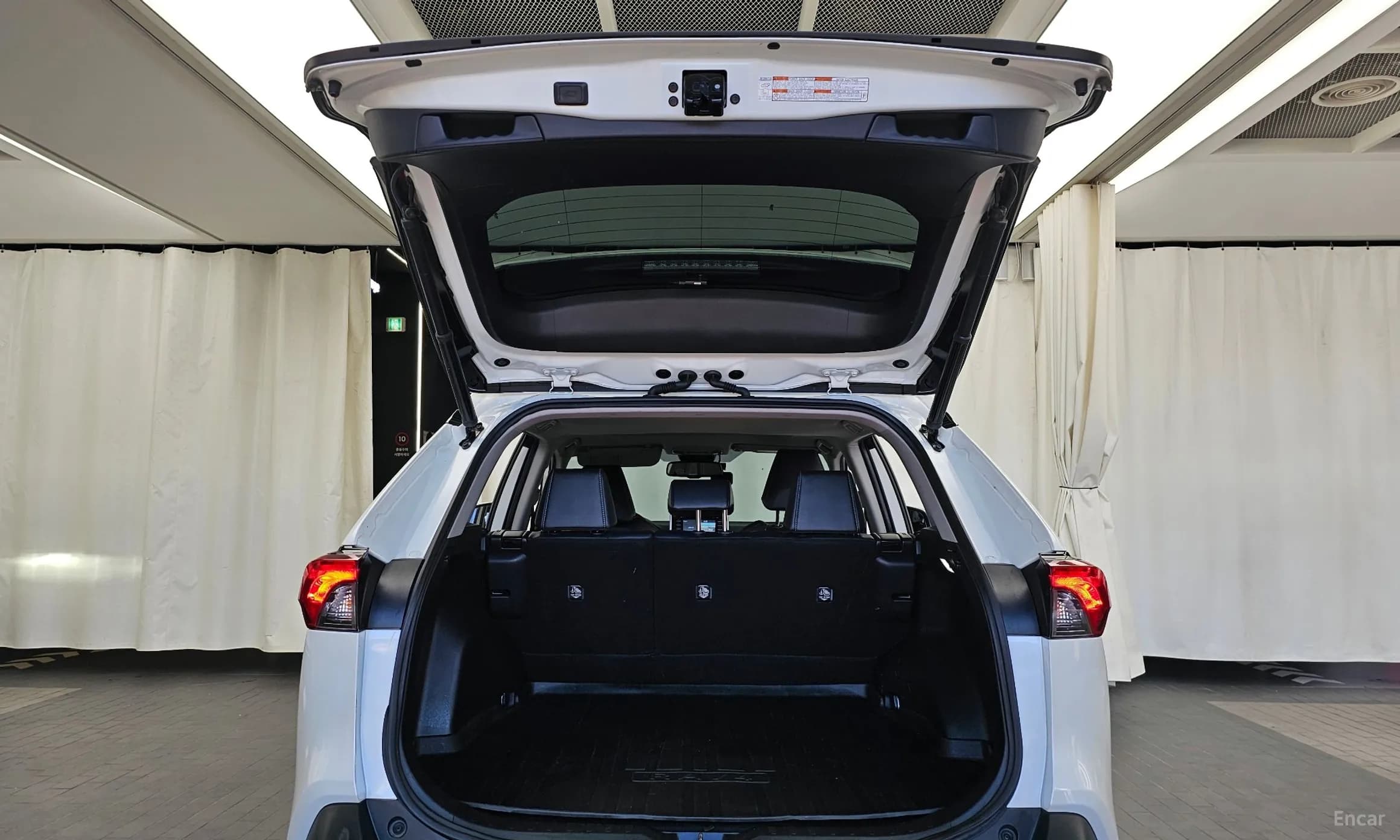 RAV4 5th Generation