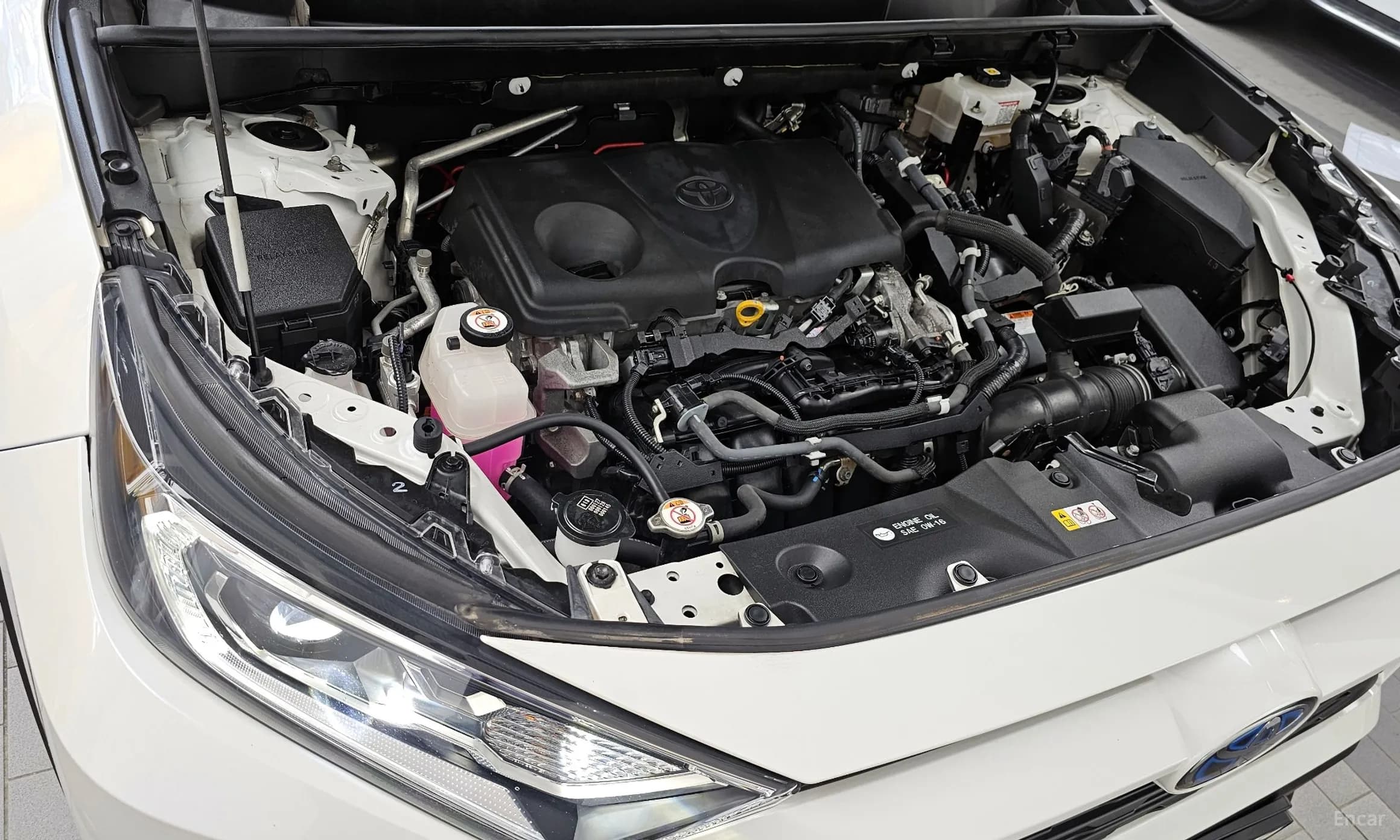 RAV4 5th Generation