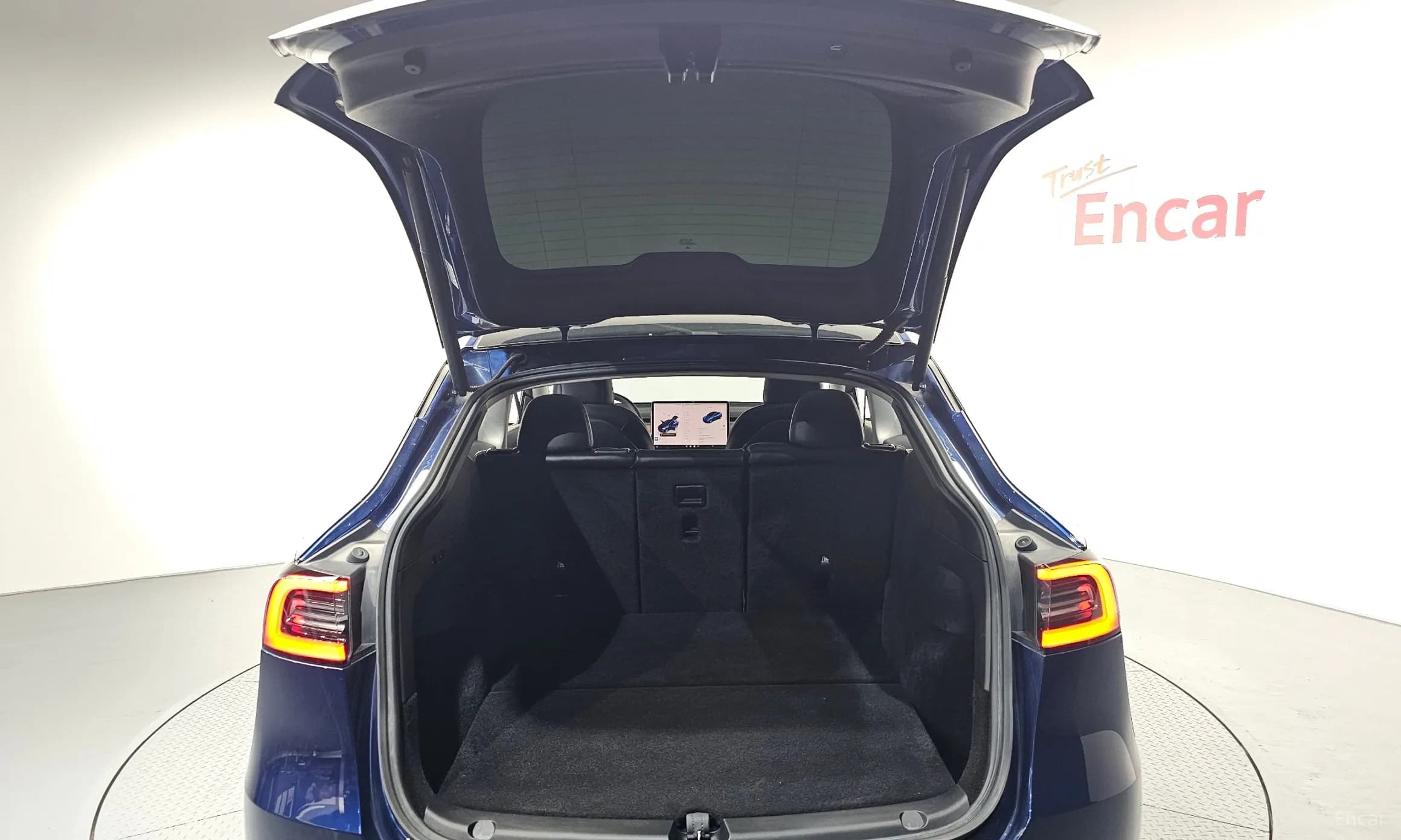 Model Y
