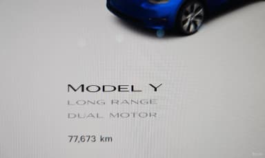 Model Y