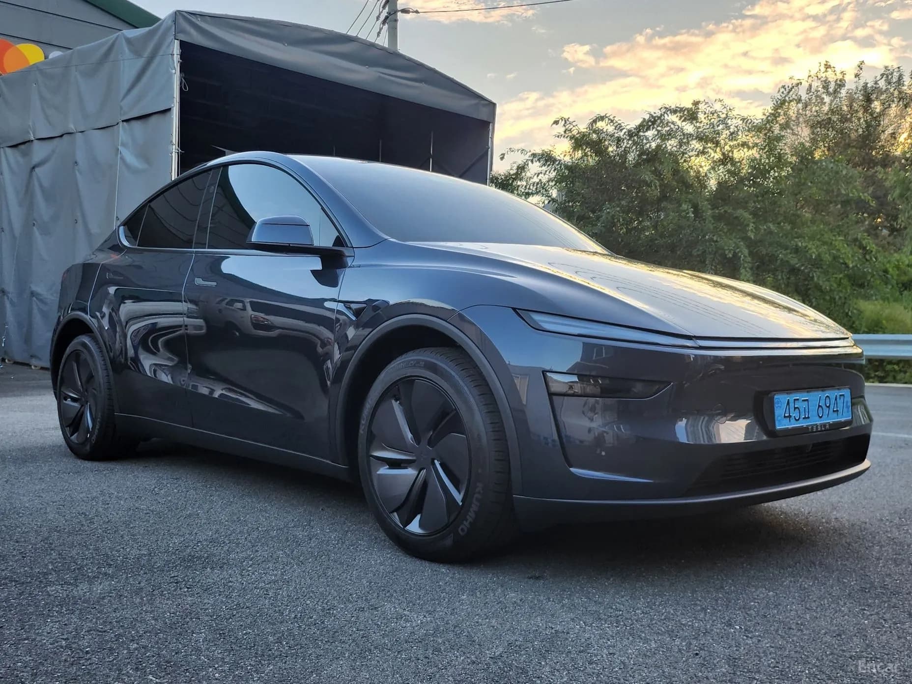Model Y