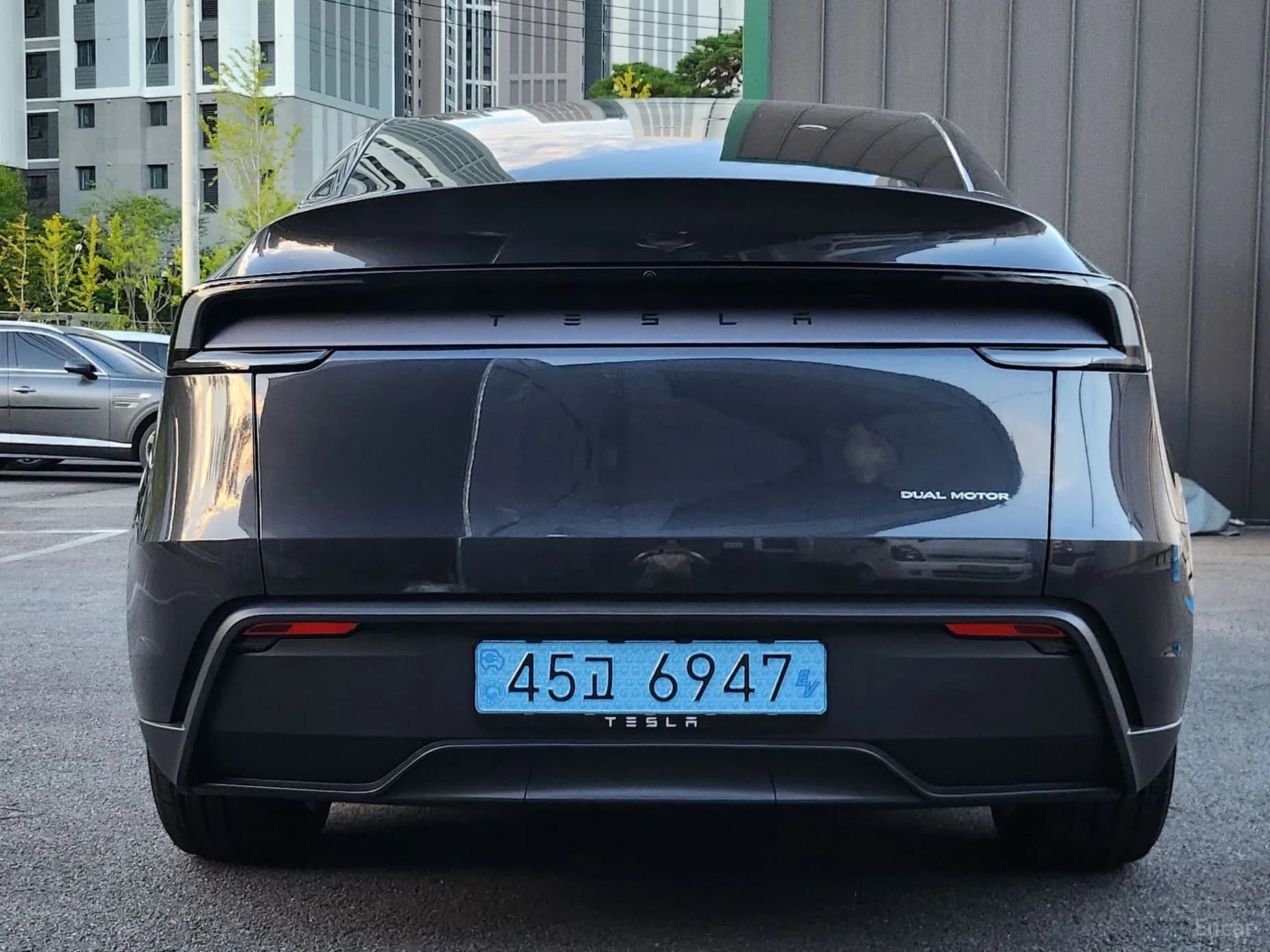 Model Y