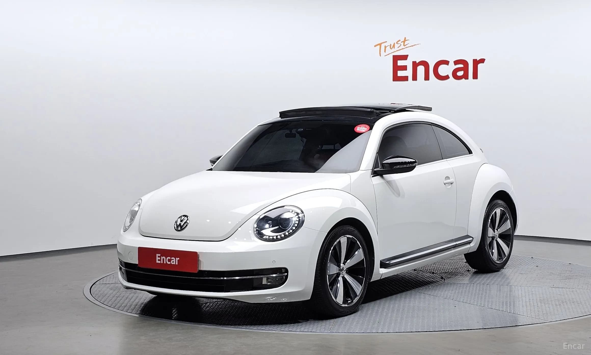 The Beetle