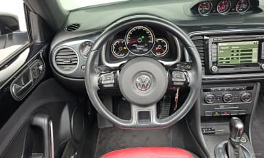 The Beetle