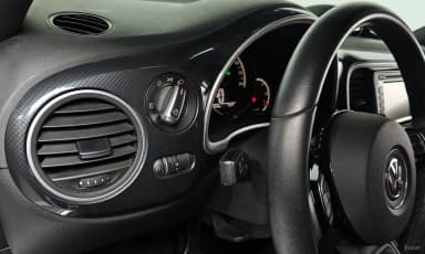 The Beetle
