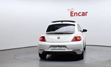 The Beetle