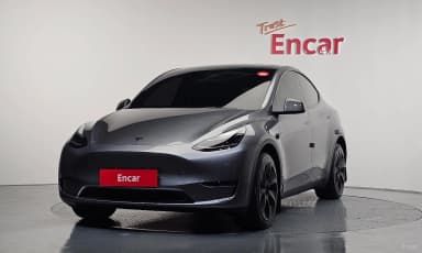 Model Y