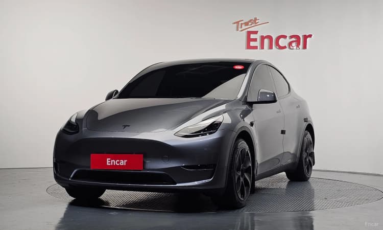 Model Y