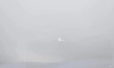 G80