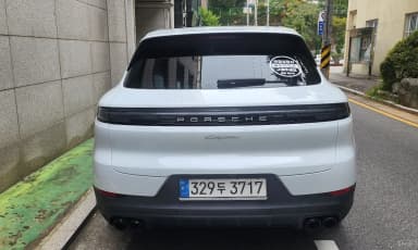 Cayenne (PO536)