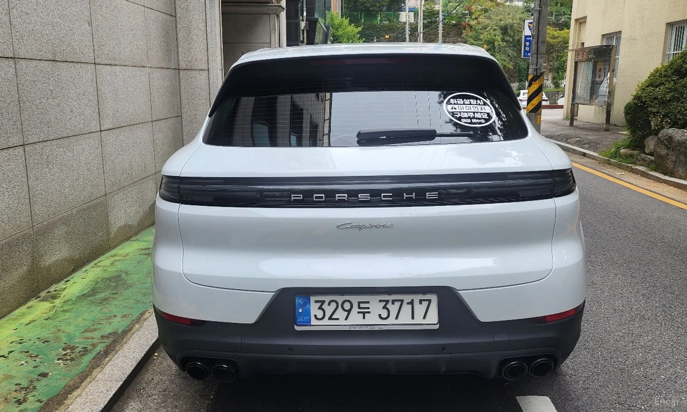 Cayenne (PO536)
