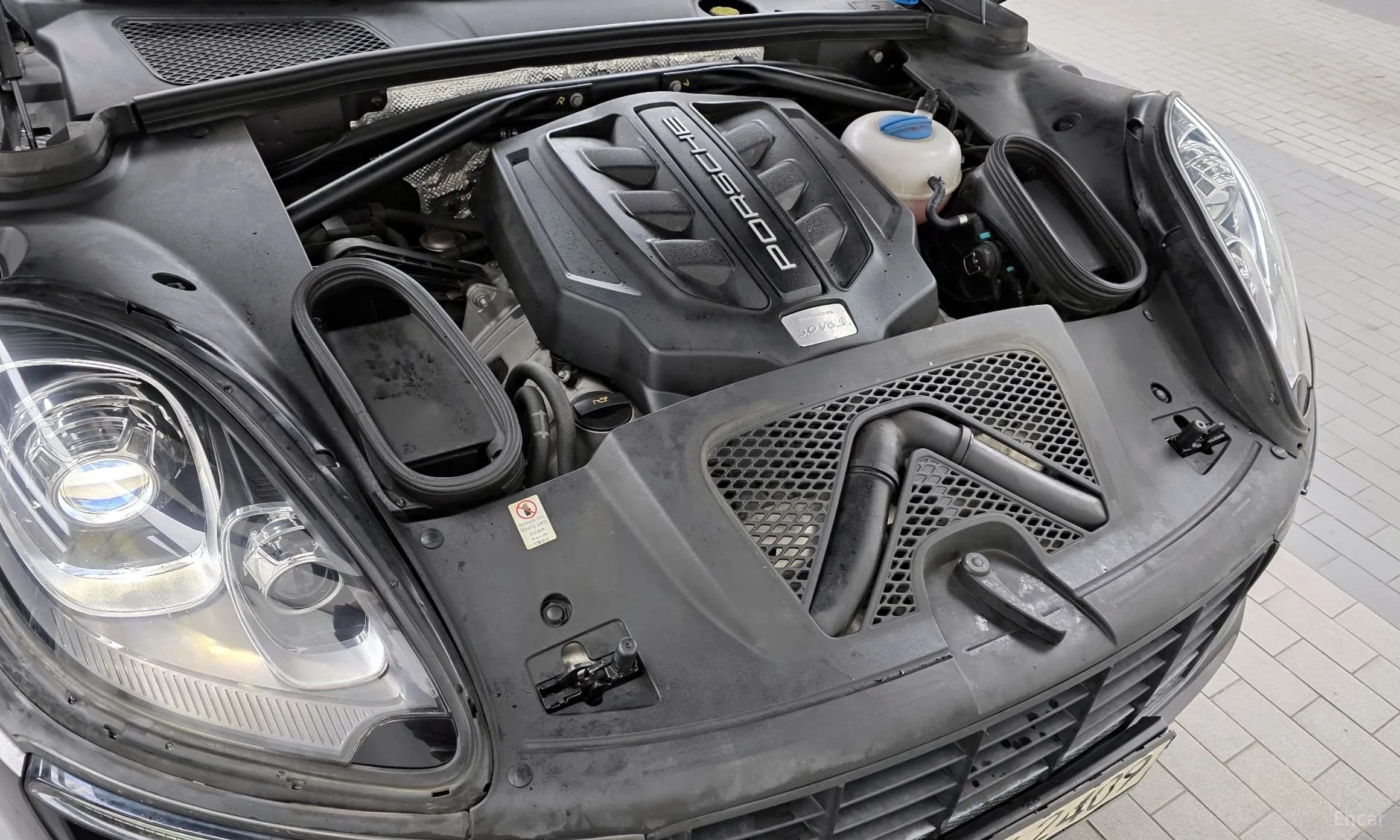 Macan
