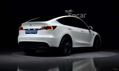 Model Y