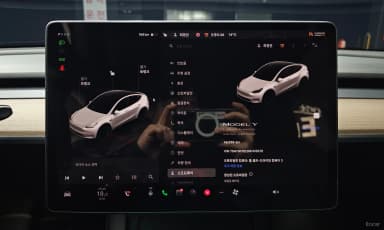 Model Y