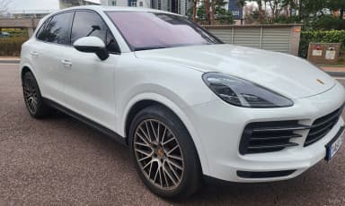 Cayenne (PO536)