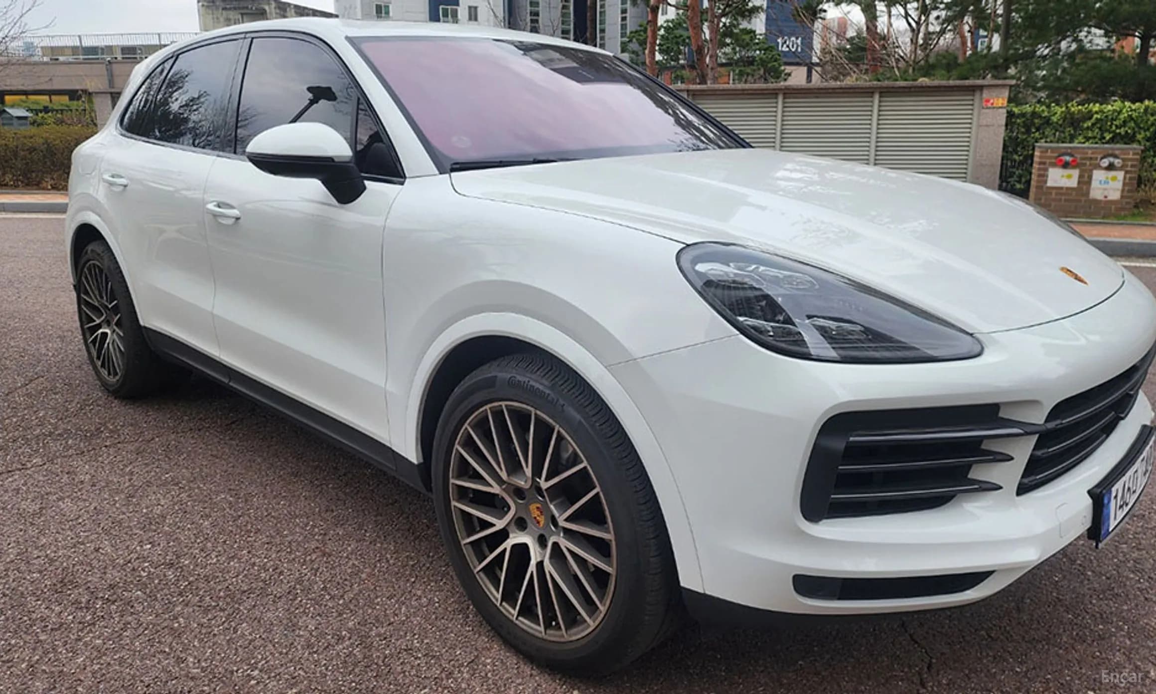 Cayenne (PO536)